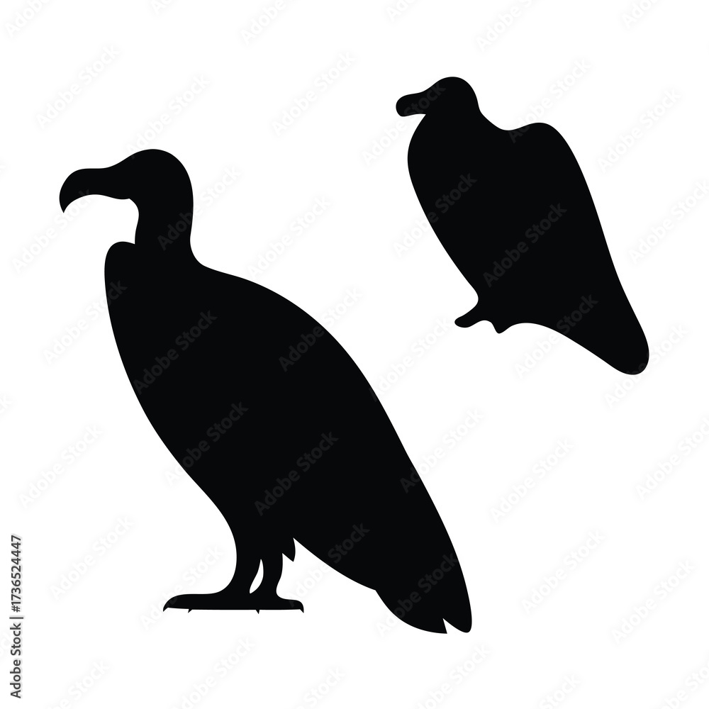 Fototapeta premium Two silhouetted vultures standing and perched against a white background