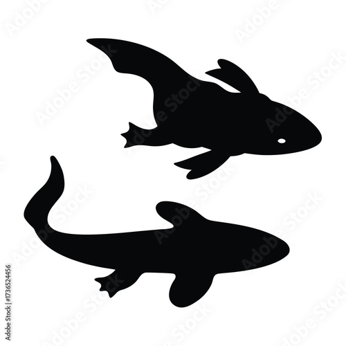 Two silhouetted orcas swimming together in a dynamic underwater scene