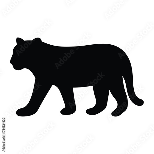 Silhouette of a powerful black panther walking with its tail extended showcasing its sleek form