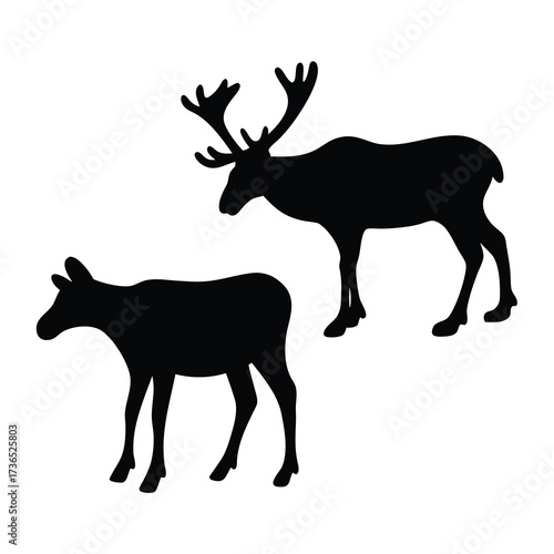 Silhouettes of a majestic bull moose with large antlers and a smaller calf on a white background