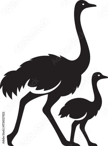 Adult and young ostrich silhouettes, Black ostrich bird illustration vector