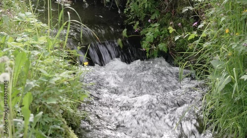 Flowing water creates a peaceful atmosphere in a lush green landscape by a stream surrounded by wildflowers