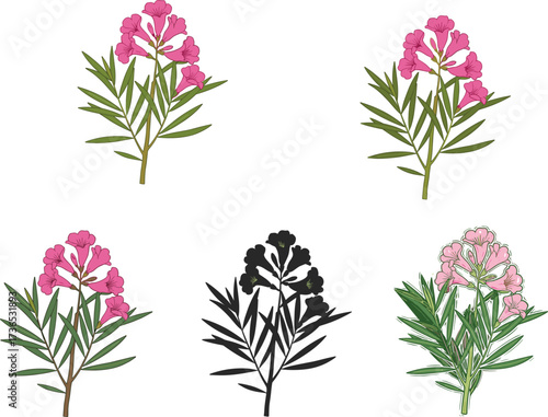 Pink blossom plant illustration set—green leaves, silhouette and realistic styles—vector botanical artwork, seasonal nature design, expressive floral motif