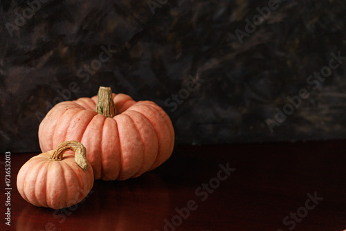 Two pumpkins on dark surface with copy space. Concept of Thanksgiving card, food background, banner and holiday decoration.