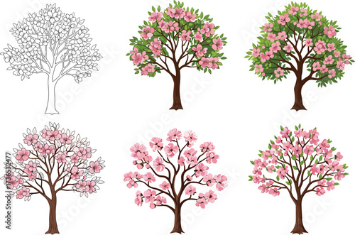 Pink blossom tree illustration set—green foliage, sketch to stylized bloom stages, expressive canopy styles—vector botanical artwork, seasonal nature design