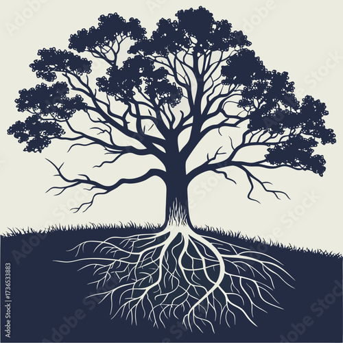 Silhouette of a large tree with roots on a hill
