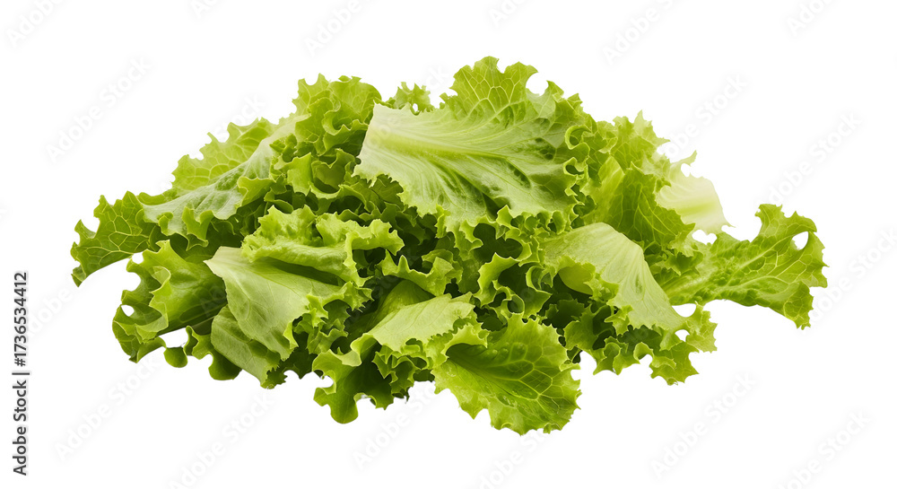 Obraz premium Chopped Lettuce for Salad Isolated on White Background