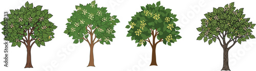 White and yellow blossom tree illustration set—green foliage, varied canopy styles—vector botanical artwork, seasonal nature design, expressive plant motif