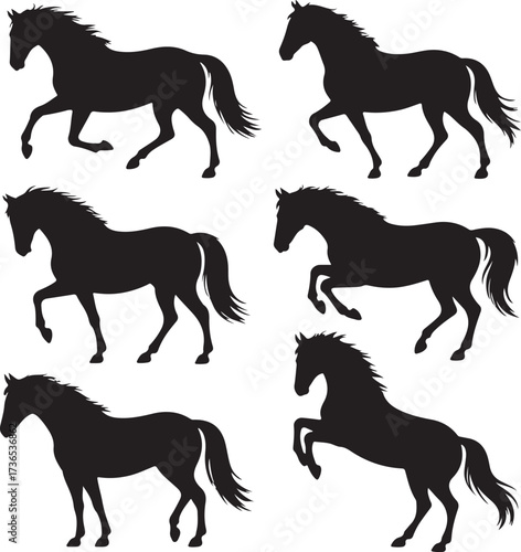 Black horse silhouettes in various poses white running