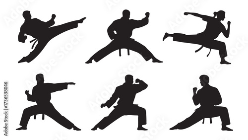 Karate silhouettes in various stances martial arts vector illustration isolated on white background for sport and fitness designs