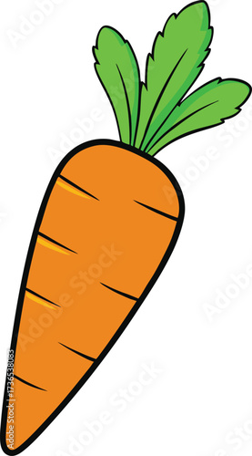 Vector Style Carrot with Green Leaves Illustration