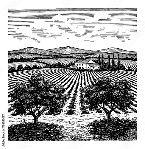 Rural Italian Scene with Olive Trees Field House and Mountains Black and White Outline Line Art Drawing