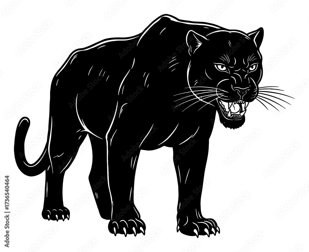 Fototapeta premium Detailed Angry Full Body Panther Roaring Snarling Black and White Outline Line Art Drawing Vector