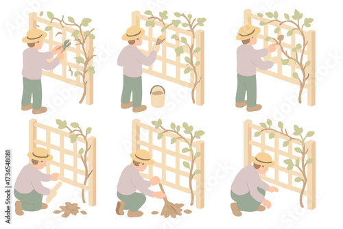 Seasonal Trellis Care Icons. Isometric vector illustration set Seasonal Trellis Maintenance: cutting dead vine ends, repainting