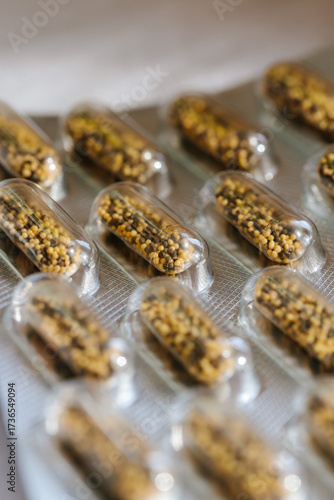 Macro close up of transparent capsule with herbal granules in blister pack. Concept of dietary supplements, natural medicine, vitamins, pharmaceutical products, healthcare, prevention and wellness