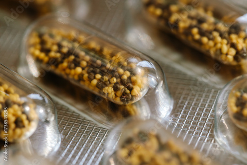 Close up of transparent capsules with herbal supplement granules. Natural medicine, pharmaceutical product and dietary supplement concept for healthcare, wellness and alternative medicine industry