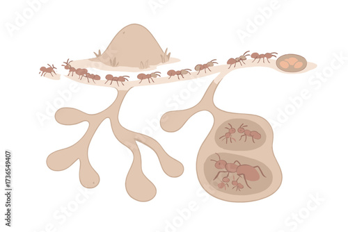 Ant Colony Dynamics. Isometric vector illustration set ant colony tunnel teamwork: ants forming trail outside mound, branching