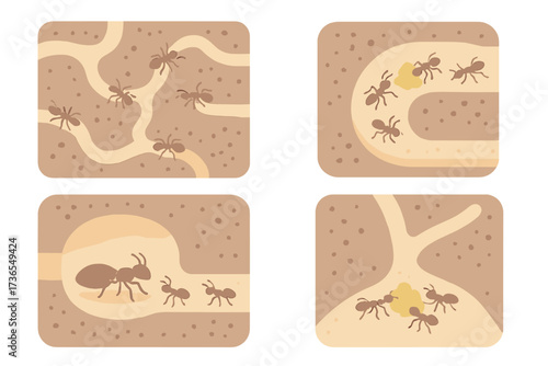 Isometric Ant Colony Scene. Isometric vector illustration set ant colony tunnel teamwork: underground tunnel network, ants