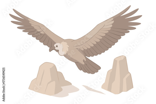 Vulture Wings Soaring. Isometric vector illustration set avian wing span soar: vulture wings wide, soaring above cliffs, layered
