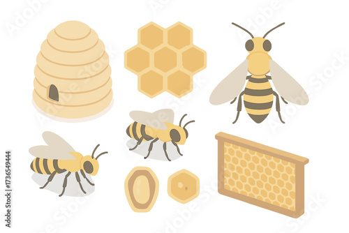 Beehive and Queen Bee. Isometric vector illustration set hive honey bee queen: traditional beehive shape, honeycomb hexagons,