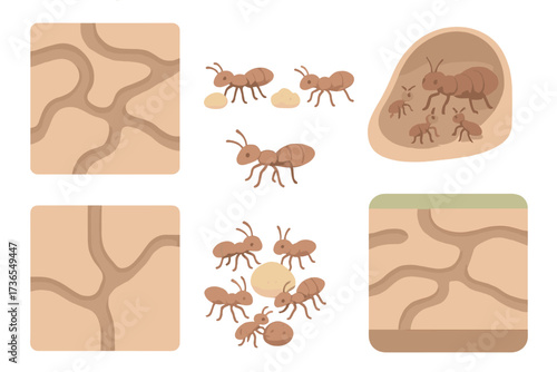 Isometric Ant Colony Scene. Isometric vector illustration set ant colony tunnel teamwork: underground tunnel network, ants