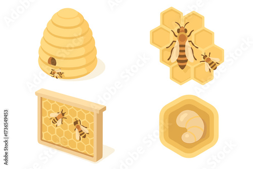 Beehive and Queen Bee. Isometric vector illustration set hive honey bee queen: traditional beehive shape, honeycomb hexagons,