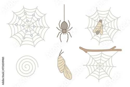 Spider Web Details. Isometric vector illustration set spider web silk trap: dewdrop web detail, spider suspended below, prey
