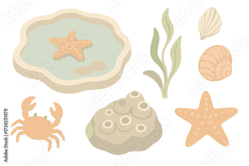 Tide Pool Wonders. Isometric vector illustration set Tide pool starfish: shallow water, seaweed strand, seashells, crab, barnacle