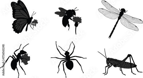 Silhouette insects including butterfly, bee, dragonfly, ant, spider, and grasshopper illustration for entomology, nature, wildlife, education, biodiversity, and ecosystem design