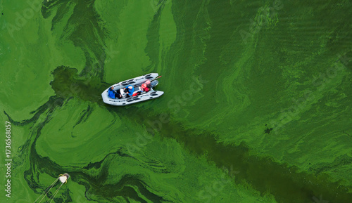 Kaunas yacht club and water bloom