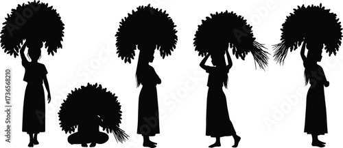 Silhouette woman walking carrying foliage bundle on head traditional lifestyle cultural movement balance rural scene vector illustration design