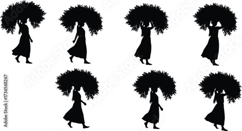 Silhouette woman walking carrying foliage bundle on head traditional lifestyle cultural movement balance rural scene vector illustration design
