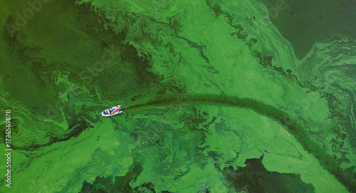 Kaunas yacht club and water bloom