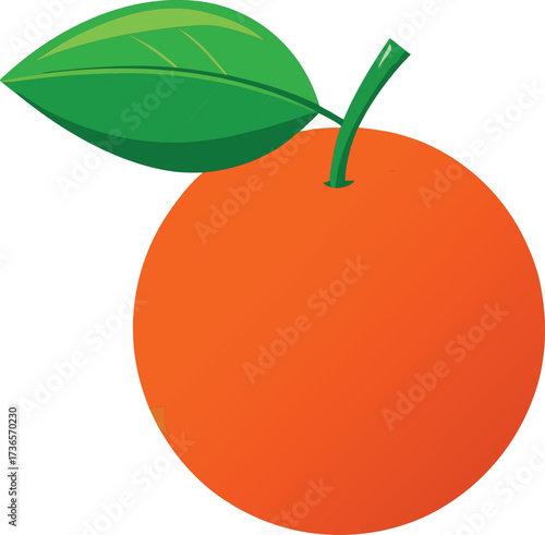 Bright orange fruit with a green leaf and stem