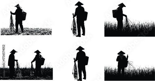 Traditional Asian farmers in conical hats carrying baskets and harvesting crops silhouette illustration, rural agriculture lifestyle, cultural heritage vector art