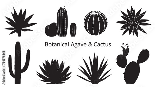 Collection of silhouetted desert plants including agave and various cacti