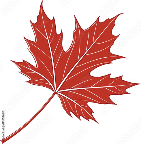 Vector art of a single red maple leaf, , with intricate vein details