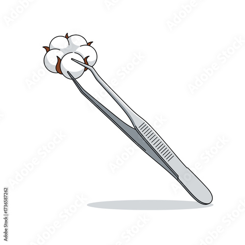 Cotton ball held with medical tweezers. Gentle cotton ball for skincare, makeup removal, and first aid, held in metallic tweezers. Use cotton ball for wound care, or other delicate procedures.