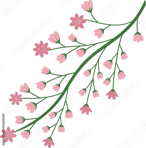 Vector art of a delicate branch with pink cherry blossoms isolated on a