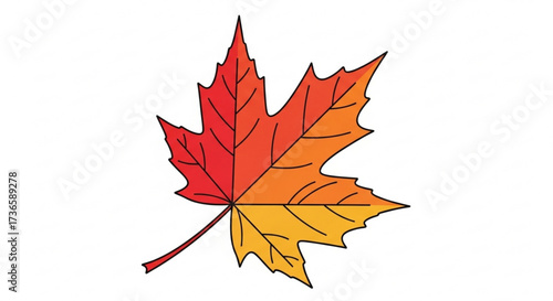 Vibrant maple leaf, a symbol of autumn, nature, and canadian identity, showcasing seasonal beauty and colorful foliage