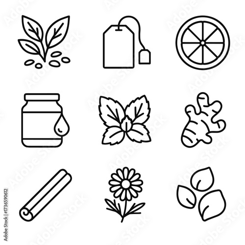 Chamomile leaves tea ingredients vector icon mint icons slice petals cinnamon ginger