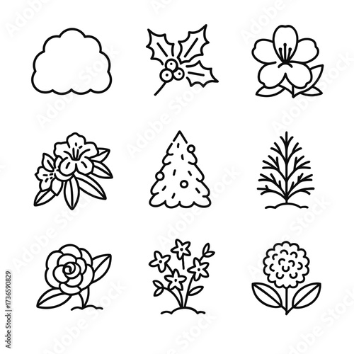 Icon camellia viburnum rhododendron forsythia azalea shrub juniper boxwood yew vector collection