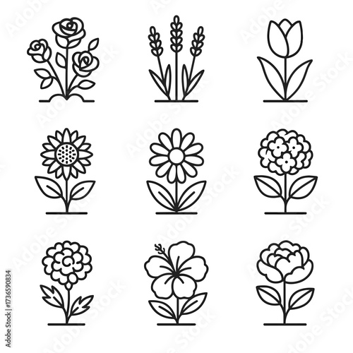 Garden daisy icons plant lavender icon bush peony tulip vector marigold hydrangea