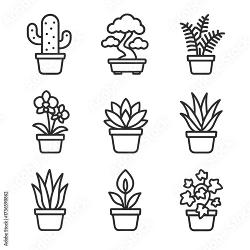Aloe snake icon succulent ivy fern lily orchid potted vector plant