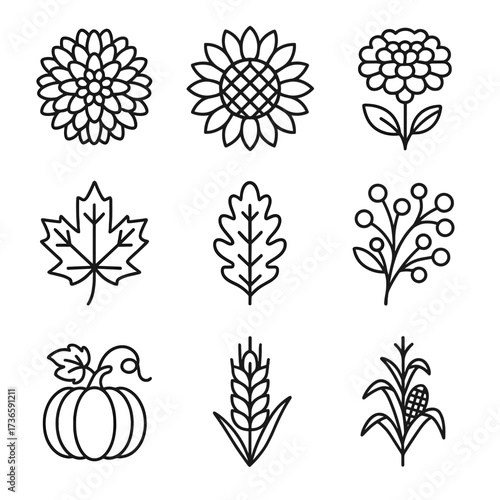 Icon plant vine corn wheat maple autumn vector oak leaf sunflower stalk