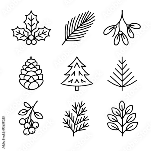 Holly shrub branch winter fir plant icon evergreen icons vector snowberry cone