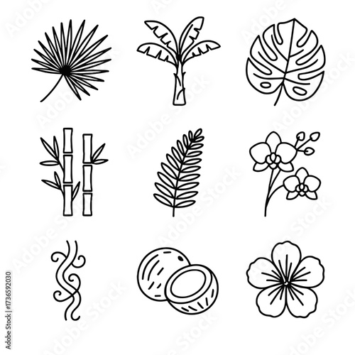Jungle hibiscus coconuts leaf monstera flower tropical icons tree lianas vector icon