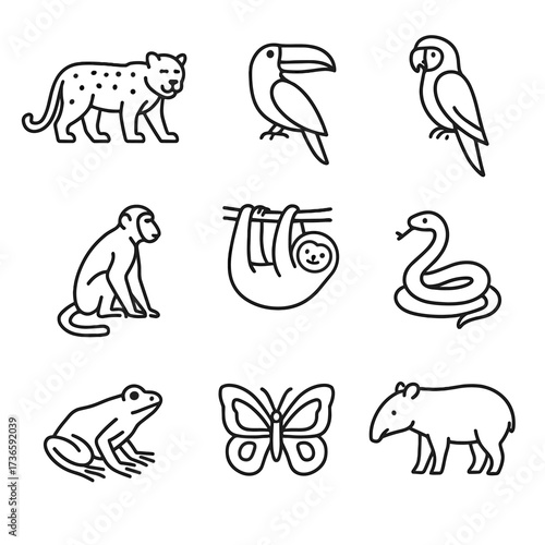 Butterfly frog rainforest vector toucan animals icons parrot tapir snake sloth icon
