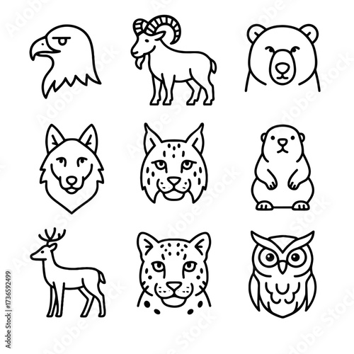 Icon leopard wildlife marmot lynx icons bear eagle mountain goat wolf vector