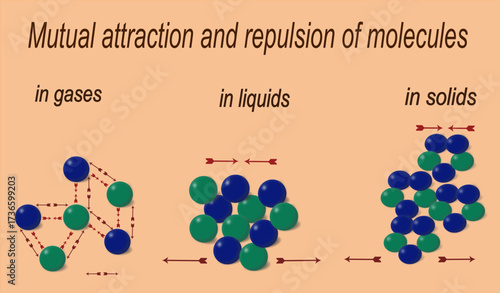 Mutual attraction and repulsion of molecules